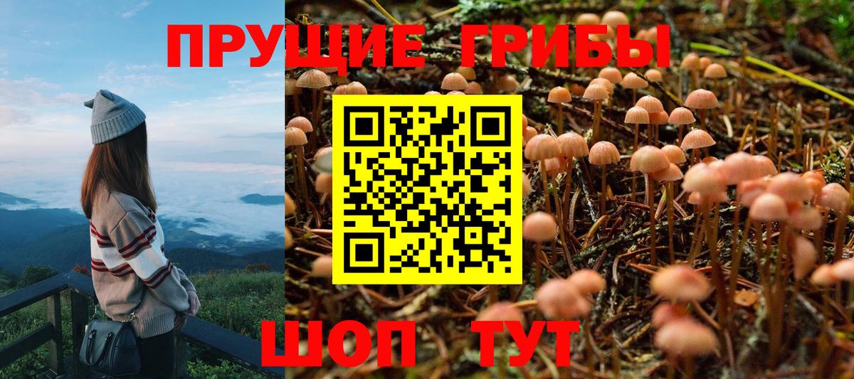 Псилоцибиновые грибы ЛСД Тавда