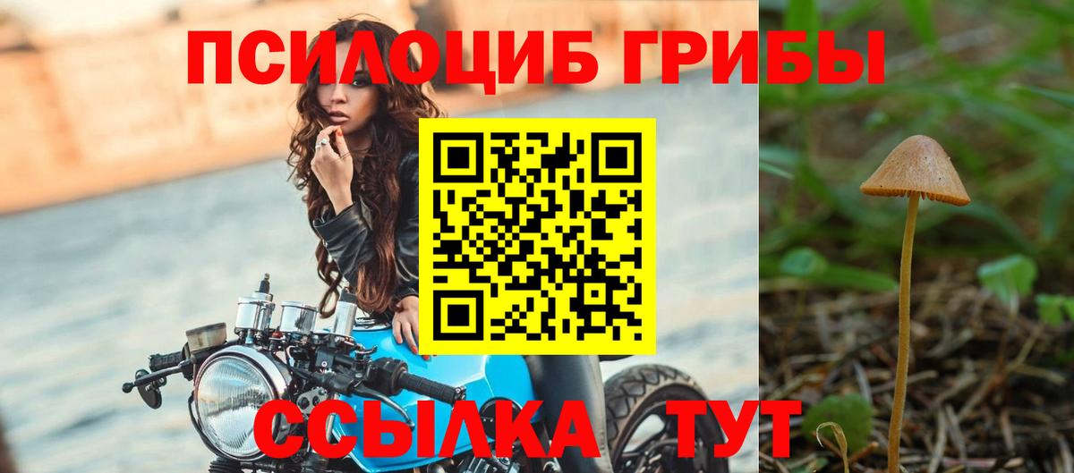 Псилоцибиновые грибы Psilocybine cubensis  Галлюциногенные грибы Psilocybine cubensis  Вход с VPN  Тавда 